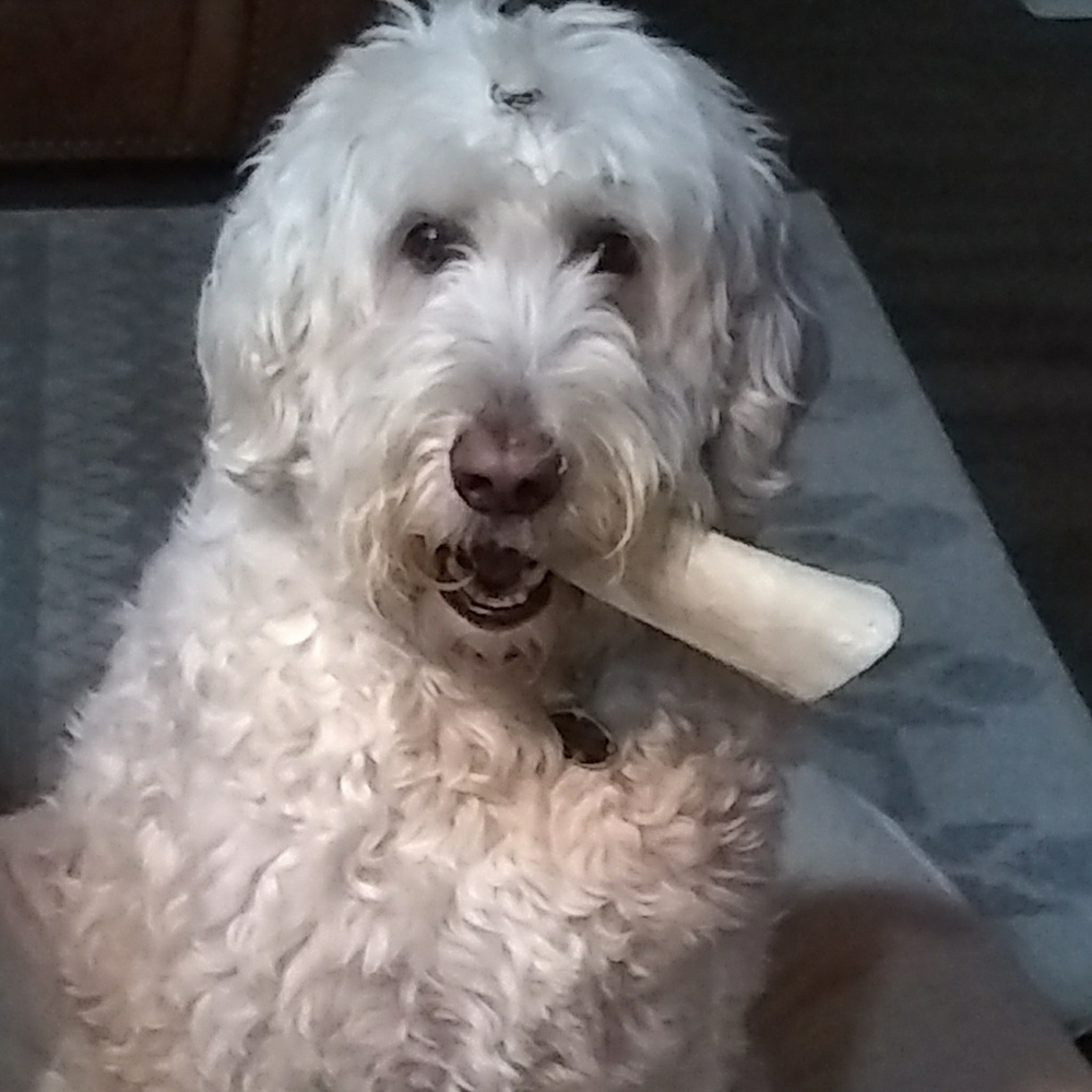 Meet your Posher, Suzye